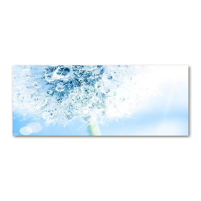 Plexiglas foto Paardebloem