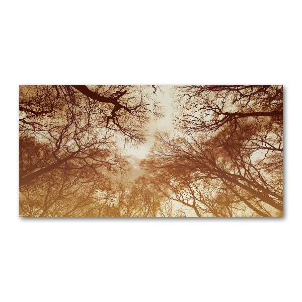 Foto in plexiglas Woud