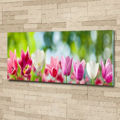 Foto op plexiglas Tulpen