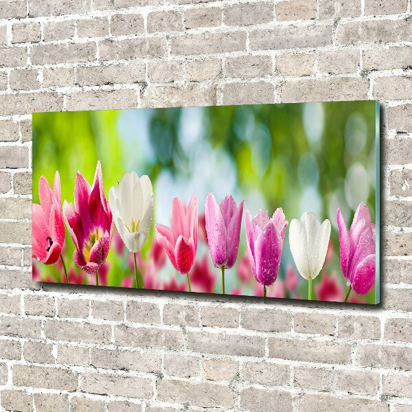 Foto op plexiglas Tulpen