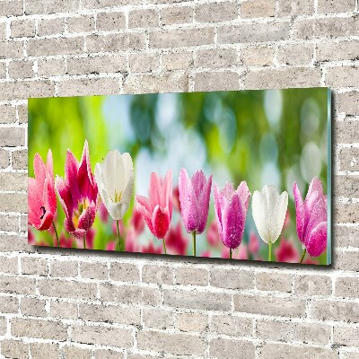 Foto op plexiglas Tulpen