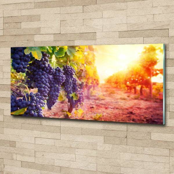 Schilderij op acrylglas Wijnranken