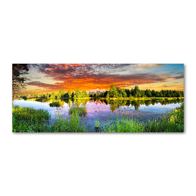 Foto in plexiglas Rivier in het bos