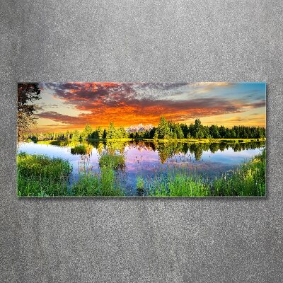 Foto in plexiglas Rivier in het bos