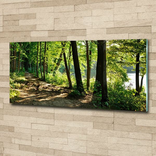 Schilderij op acrylglas Pad in de weide