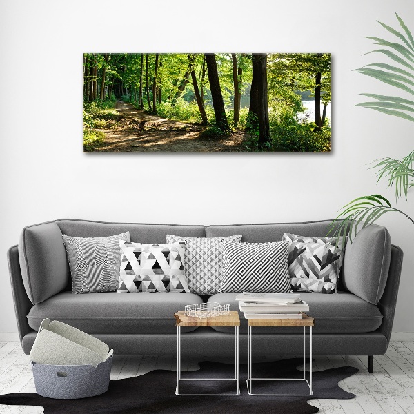 Schilderij op acrylglas Pad in de weide