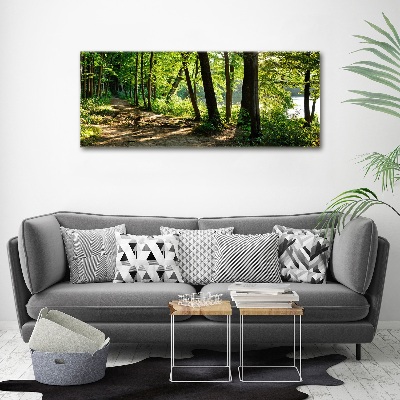 Foto obraz szkło akryl Ścieżka na łące