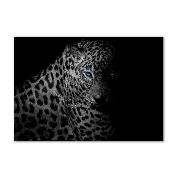 Foto plexiglas Luipaard