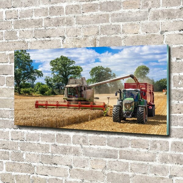Foto plexiglas Maaidorser en tractor