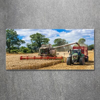 Foto plexiglas Maaidorser en tractor