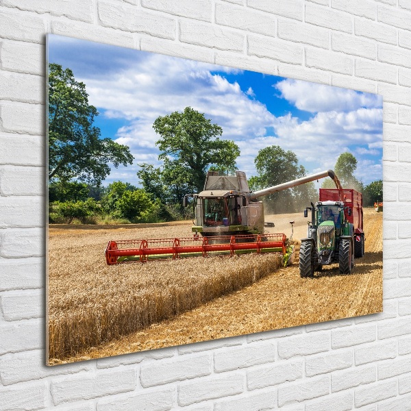 Foto plexiglas Maaidorser en tractor
