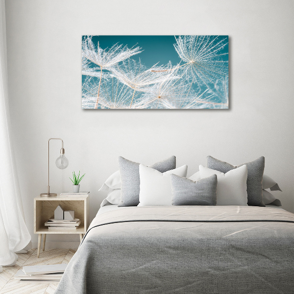 Foto in plexiglas Paardenbloemzaden