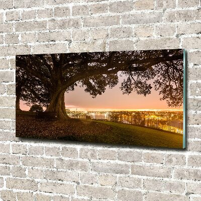 Plexiglas schilderij Oude boom