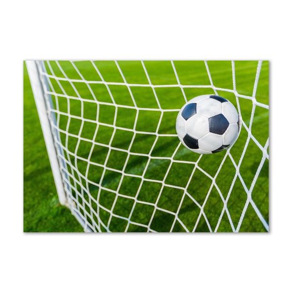 Plexiglas foto De bal ligt in het doel.