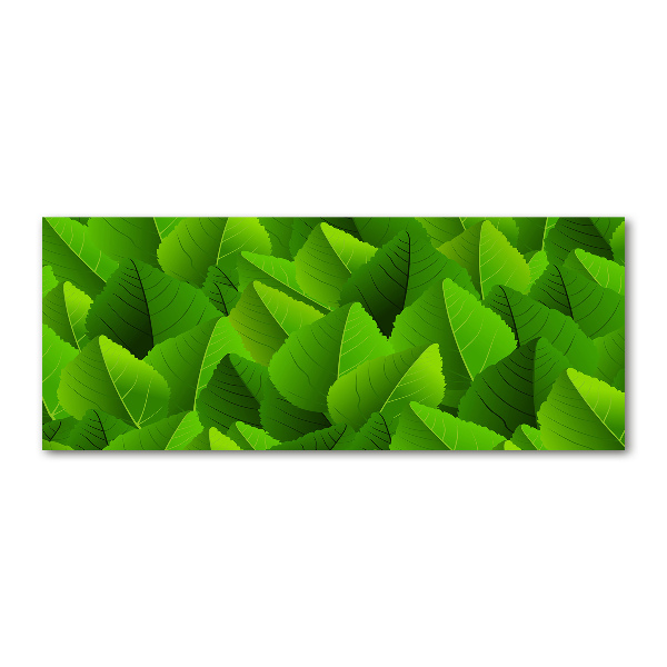 Plexiglas foto Groene bladeren