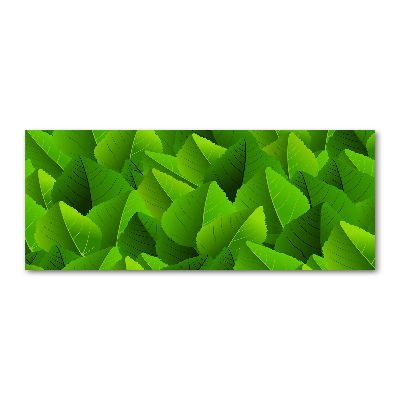Plexiglas foto Groene bladeren