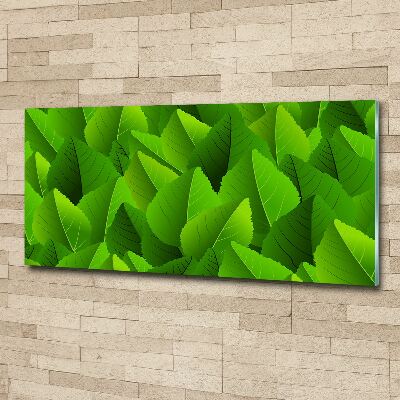 Plexiglas foto Groene bladeren