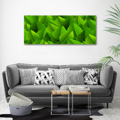 Plexiglas foto Groene bladeren