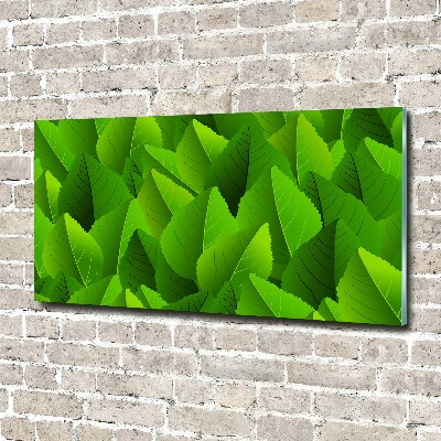 Plexiglas foto Groene bladeren