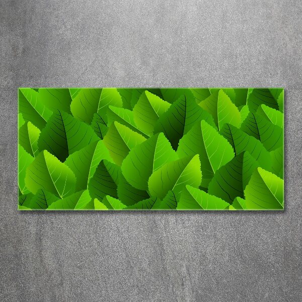 Plexiglas foto Groene bladeren
