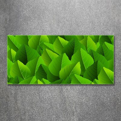 Plexiglas foto Groene bladeren