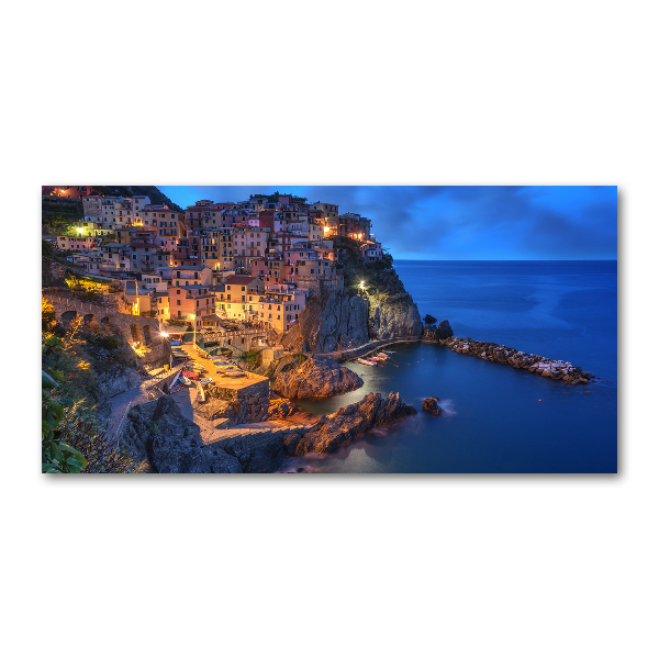 Schilderij op acrylglas Manarola Italië