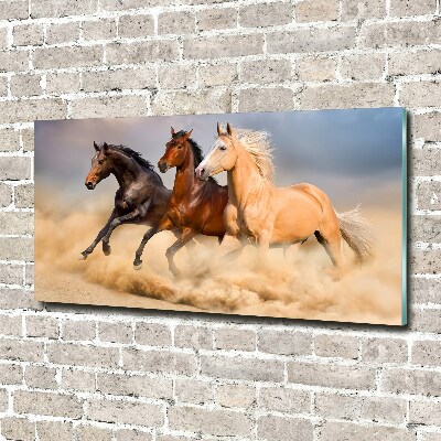 Foto in plexiglas Paarden in galop