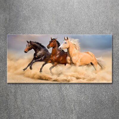 Foto in plexiglas Paarden in galop