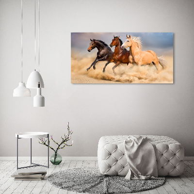 Foto in plexiglas Paarden in galop