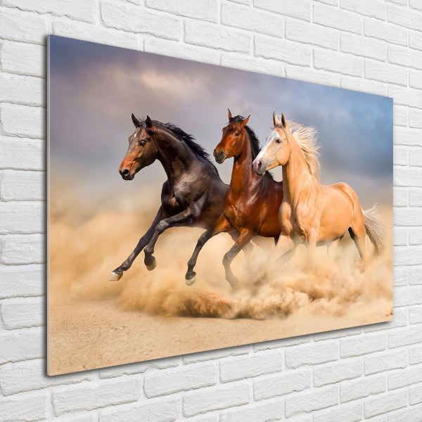Foto in plexiglas Paarden in galop