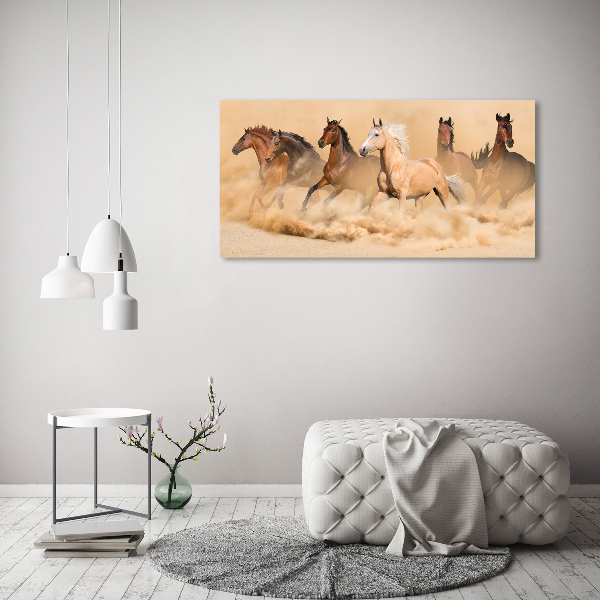Schilderij op acrylglas Woestijnpaarden