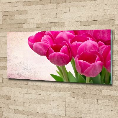 Plexiglas schilderij Roze tulpen