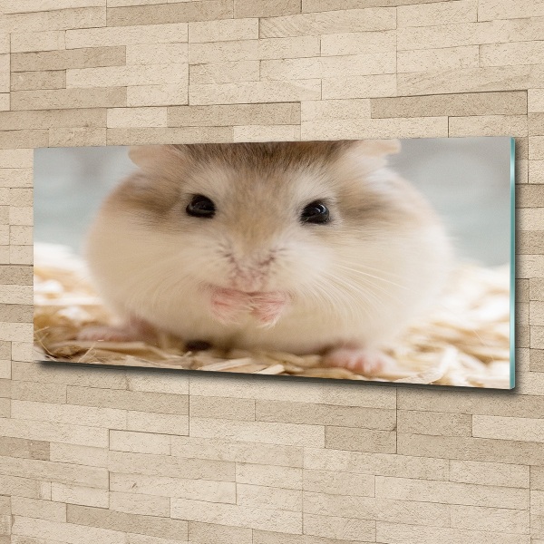Plexiglas schilderij Hamster