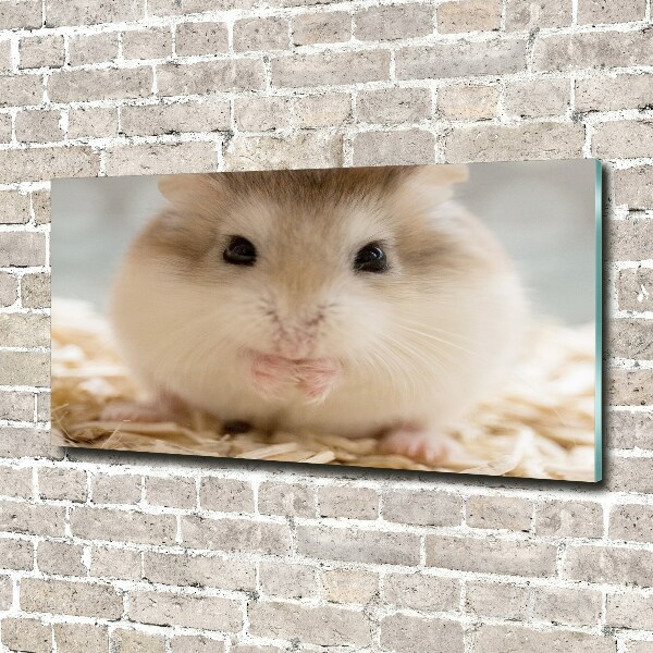 Plexiglas schilderij Hamster