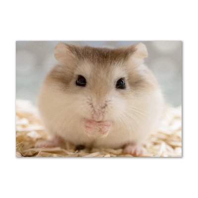Plexiglas schilderij Hamster