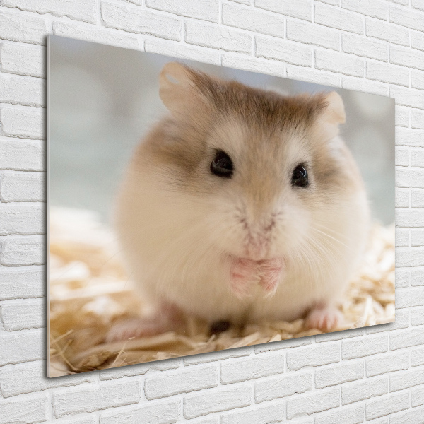 Plexiglas schilderij Hamster