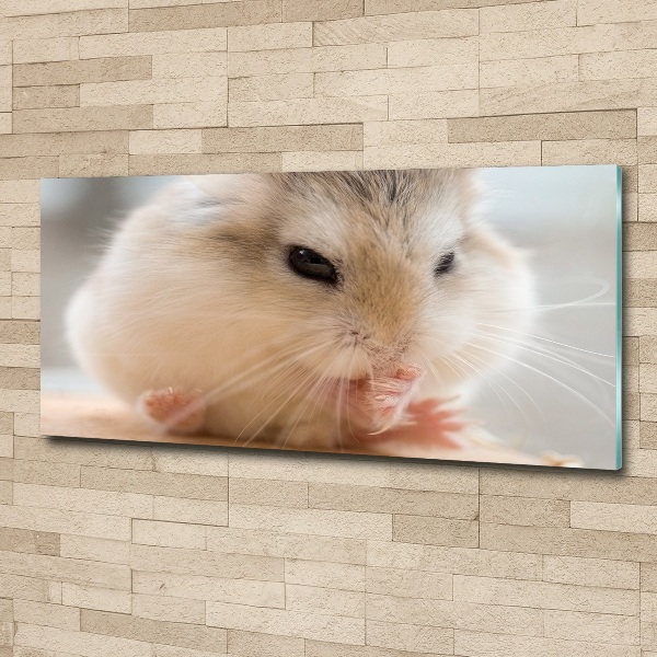 Foto op plexiglas Hamster