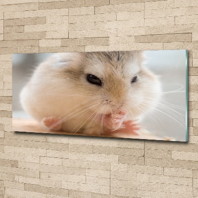 Foto op plexiglas Hamster