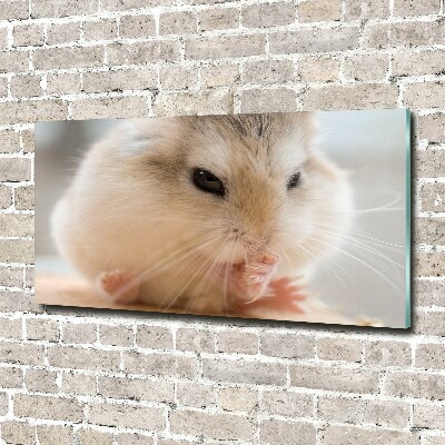 Foto op plexiglas Hamster