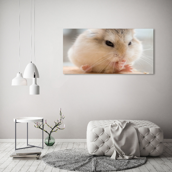 Foto op plexiglas Hamster