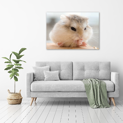 Foto op plexiglas Hamster