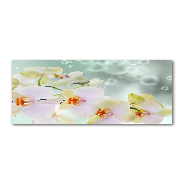 Plexiglas foto Witte orchidee