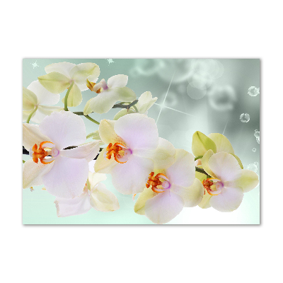 Plexiglas foto Witte orchidee