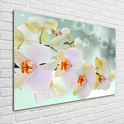 Plexiglas foto Witte orchidee