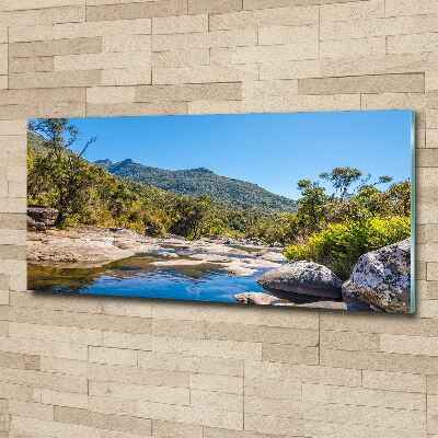 Foto in plexiglas Rivier in het bos