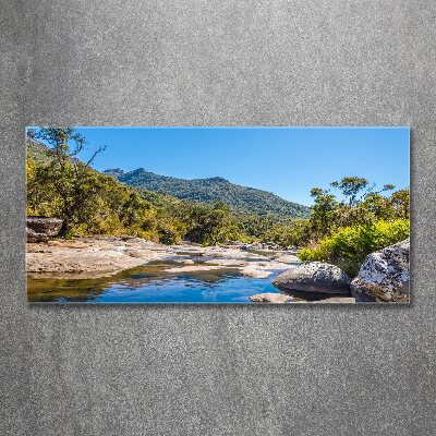 Foto in plexiglas Rivier in het bos