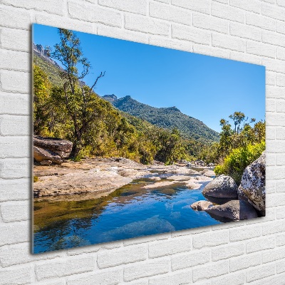 Foto in plexiglas Rivier in het bos