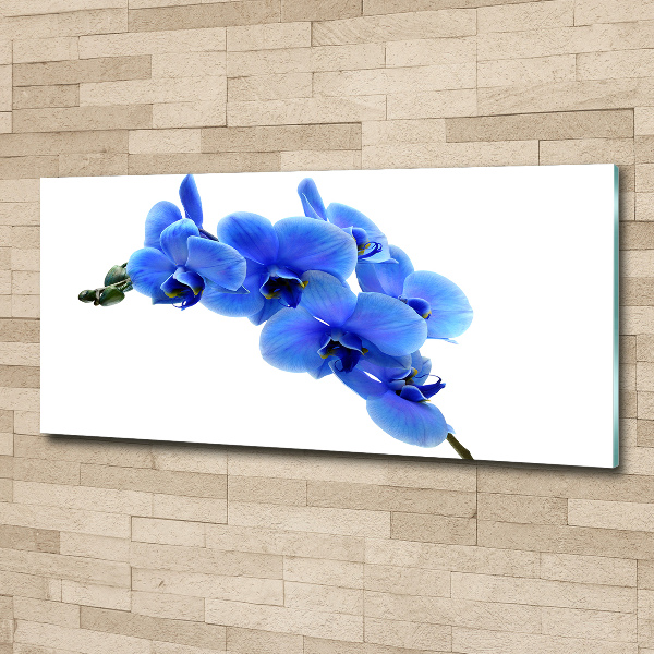 Foto plexiglas Blauwe orchidee
