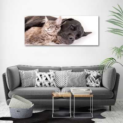 Plexiglas foto Hond met kat