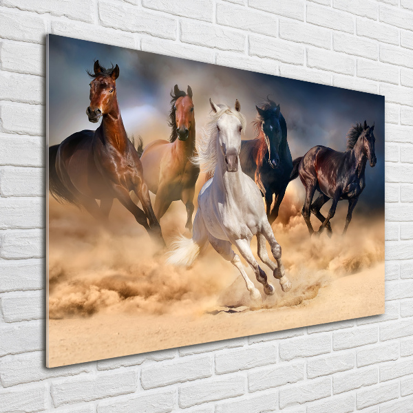 Plexiglas schilderij Paarden in galop